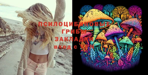 mix Няндома