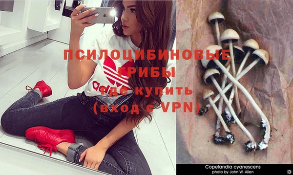 каннабис Нязепетровск