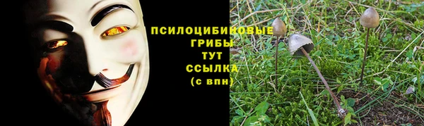 mix Няндома