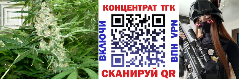 Купить закладки  Могоча  Дистиллят ТГК THC oil 