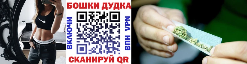 Конопля план  Купить закладки  Могоча 